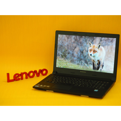 Lenovo b50-30 20382